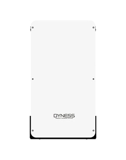 Pin lưu trữ Dyness